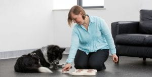 Dog traininer explaining to dog