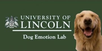 Advert for the University of Lincoln Dog Emotion Lab, with photo of smiling golden retriever