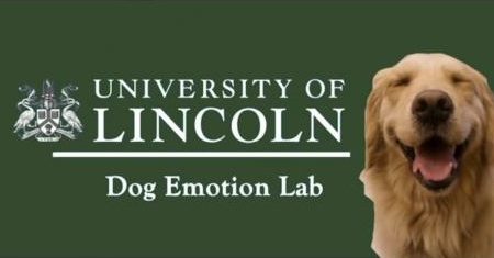 Advert for the University of Lincoln Dog Emotion Lab, with photo of smiling golden retriever